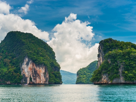 每日大赛在线免费观看